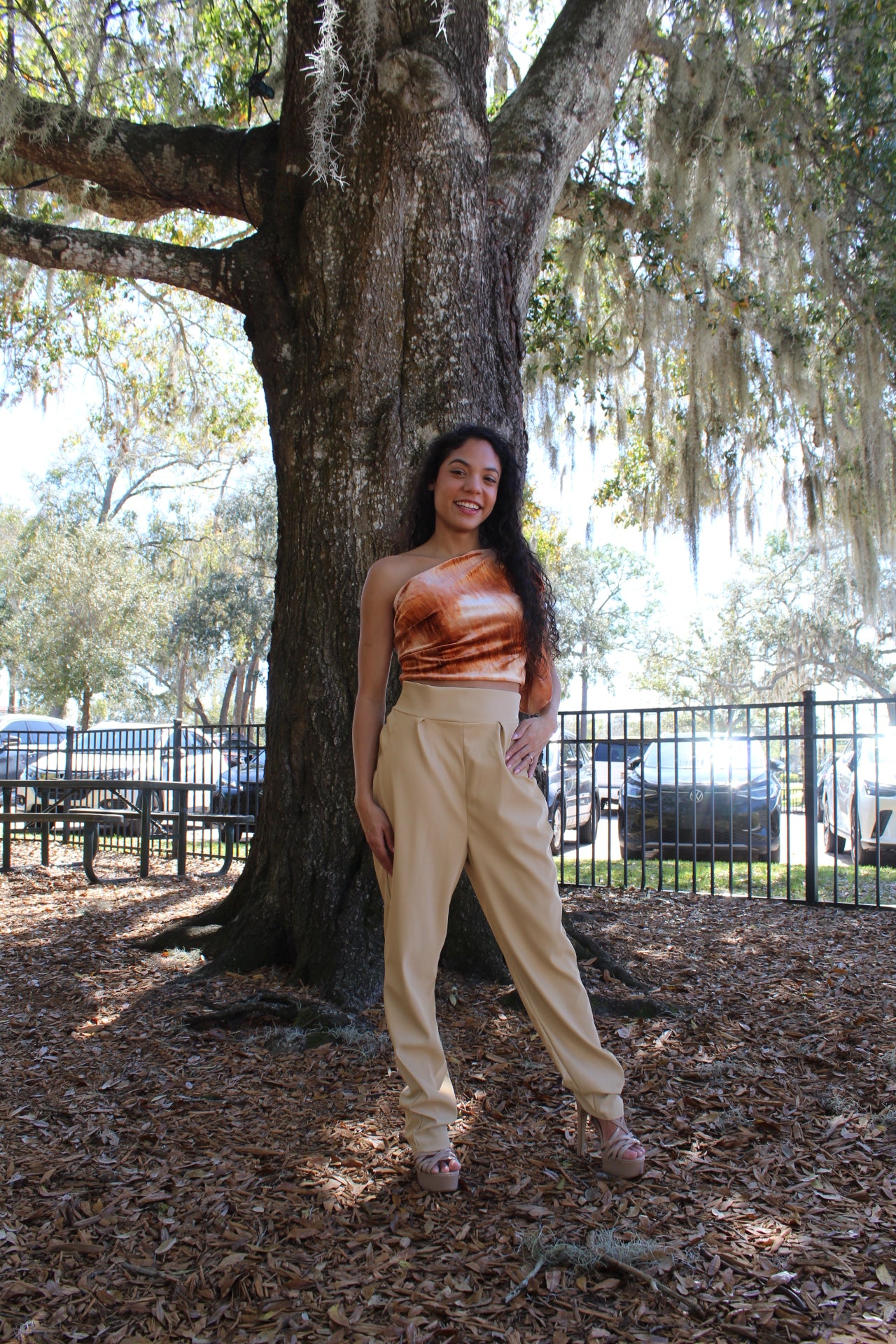 Ombré Crop Top - Jarix Fashions