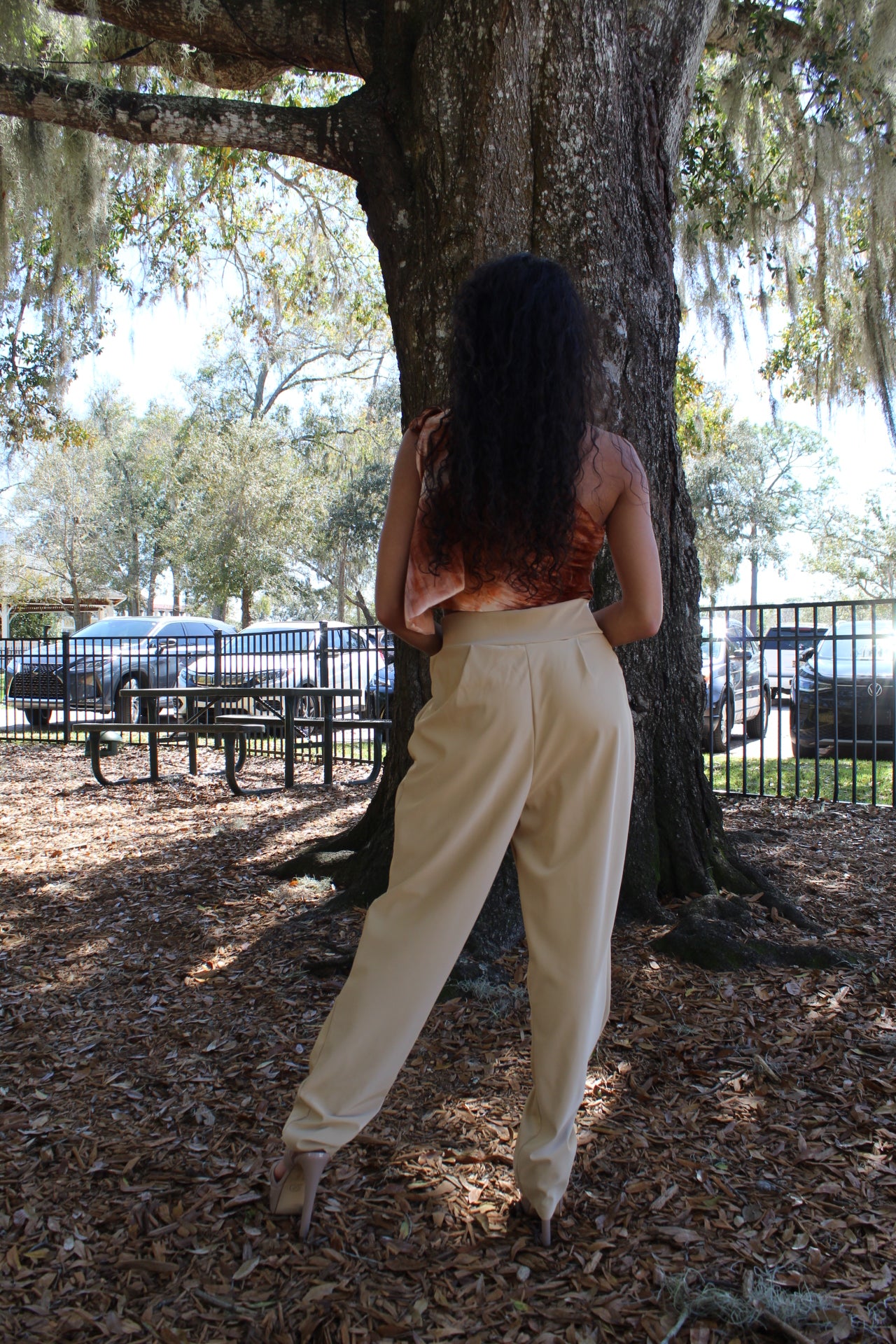 Ombré Crop Top - Jarix Fashions