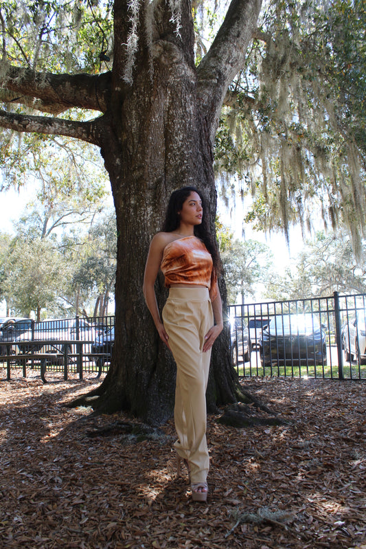 Ombré Crop Top - Jarix Fashions