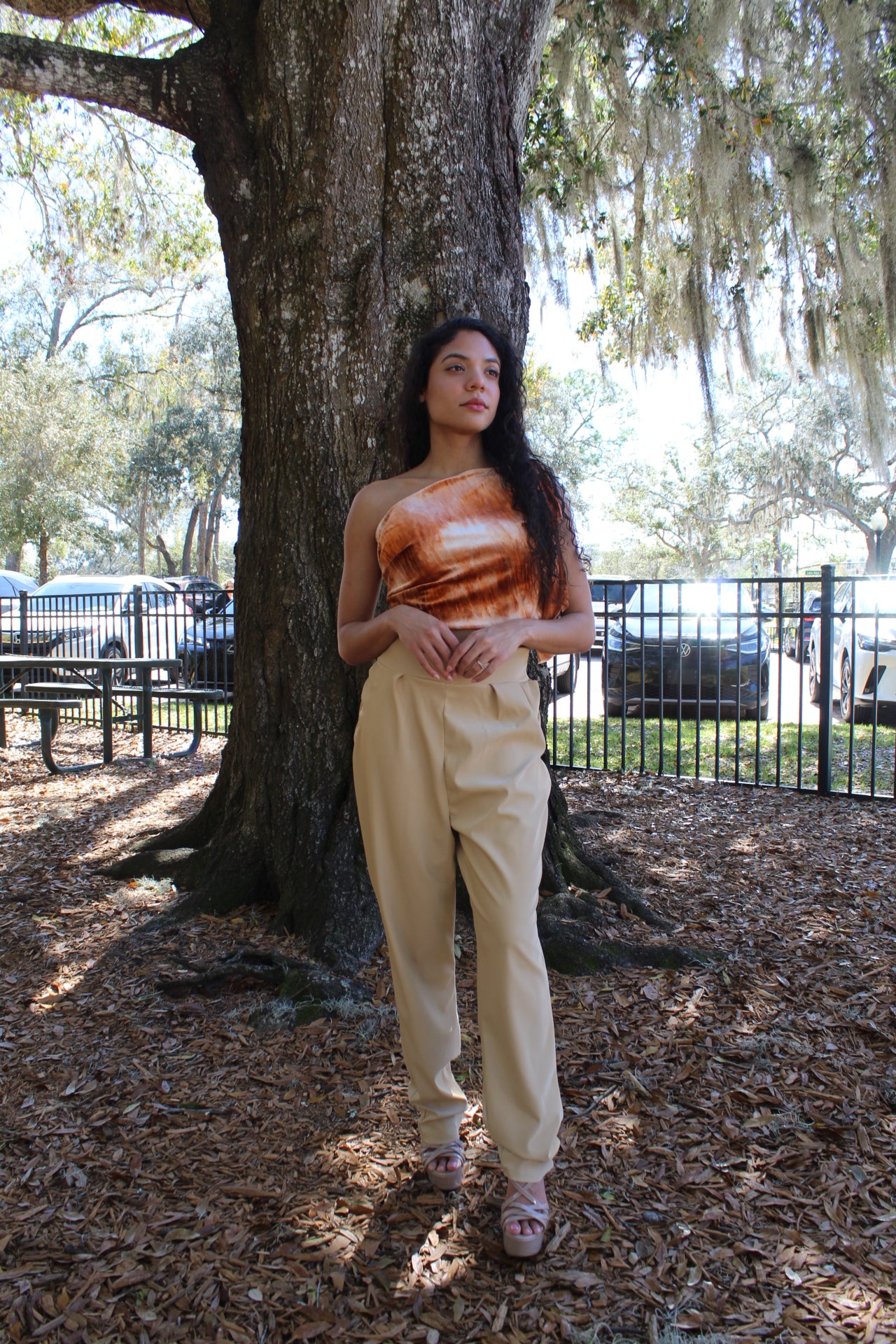 Ombré Crop Top - Jarix Fashions