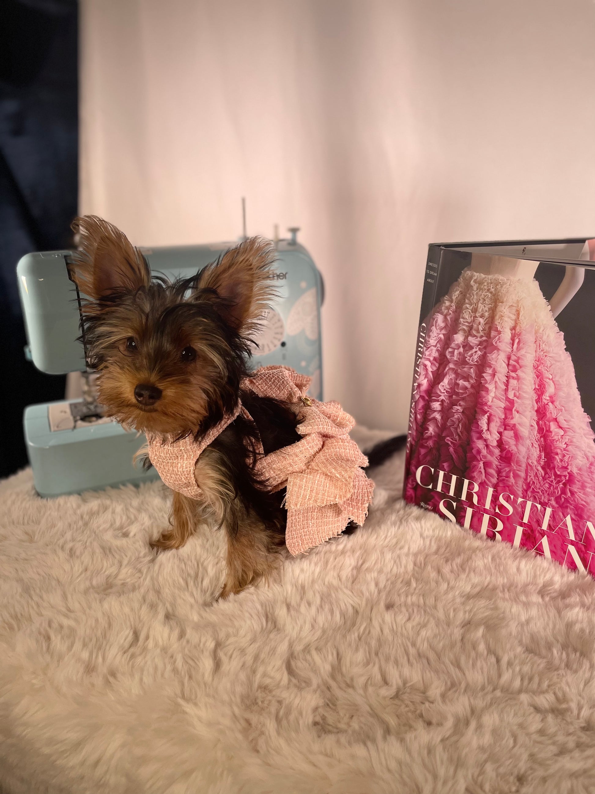 Pink Ruffle Puppy Dress - Jarix Fashions 