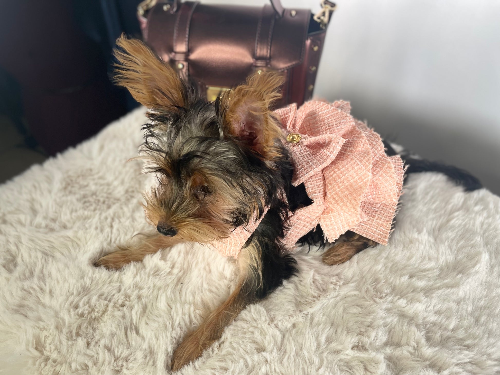 Pink Ruffle Puppy Dress - Jarix Fashions 