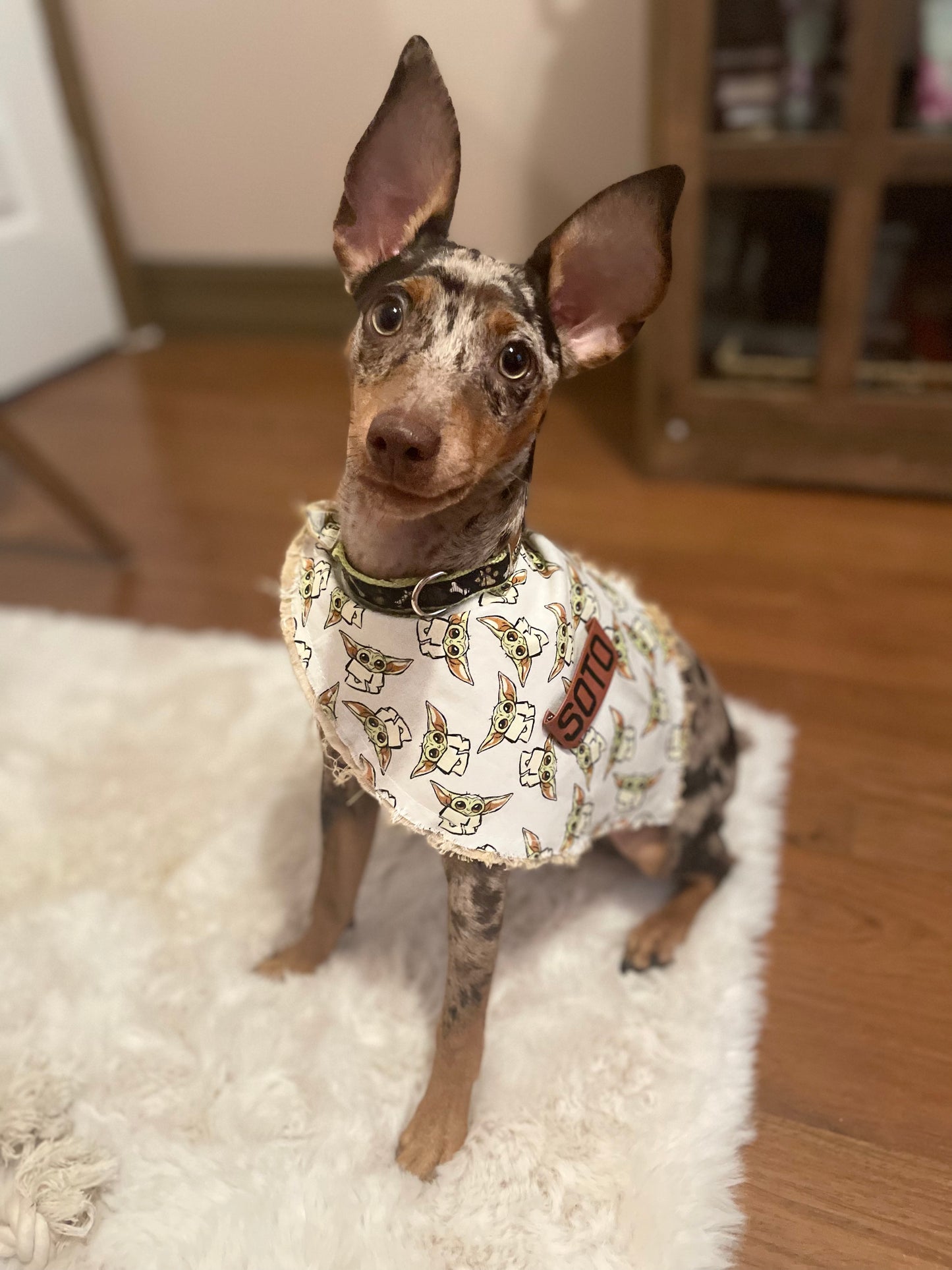 Grogu Puppy Bandana - Jarix Fashions 